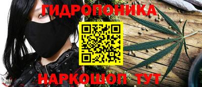 гашик Краснодар