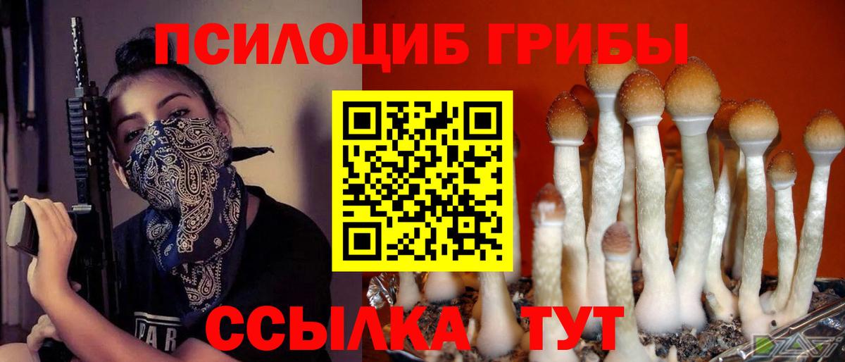 Псилоцибиновые грибы GOLDEN TEACHER  Вход с VPN  Железногорск  Псилоцибиновые грибы GOLDEN TEACHER 